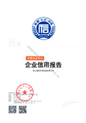 企业信用报告